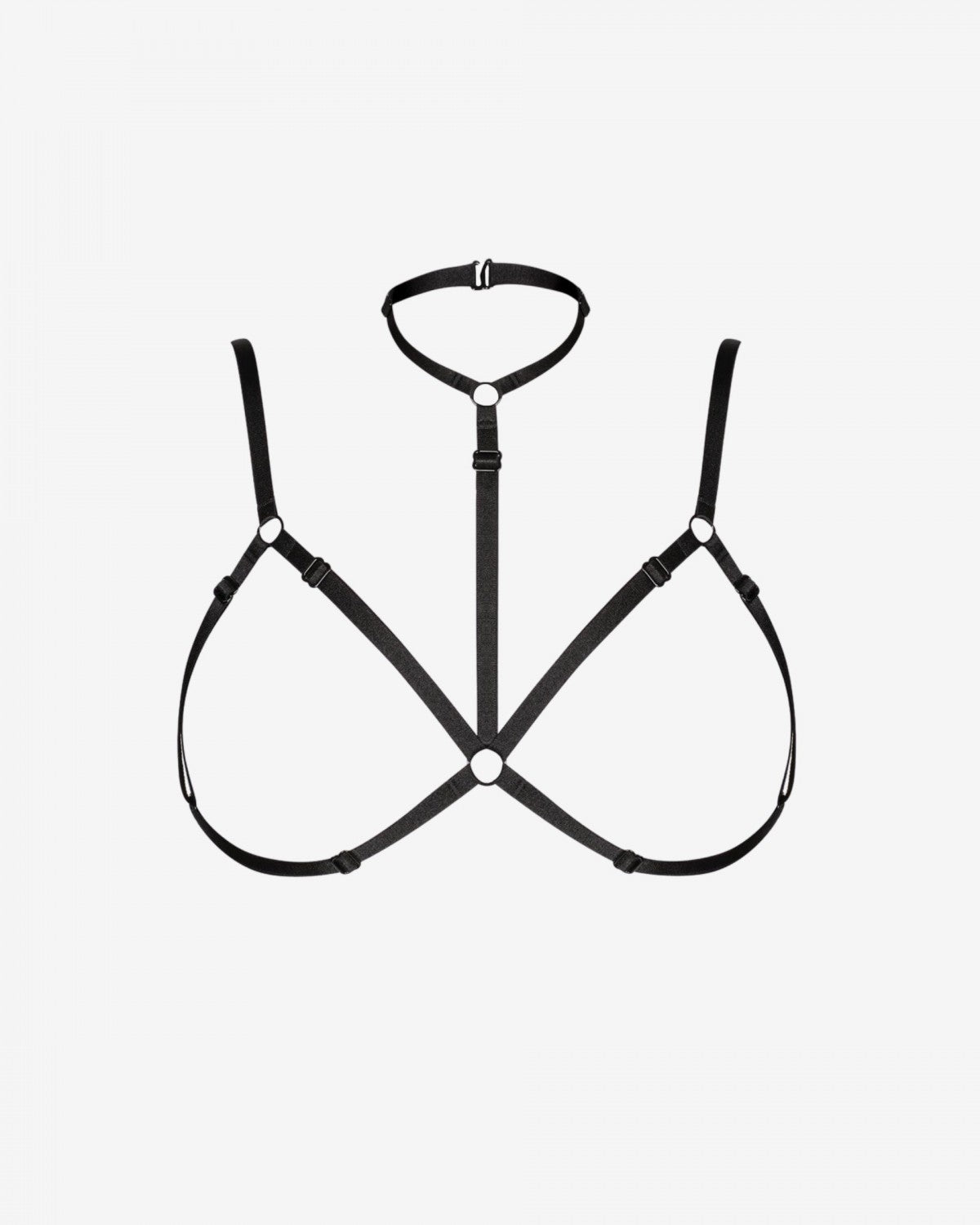 AIDA body harness