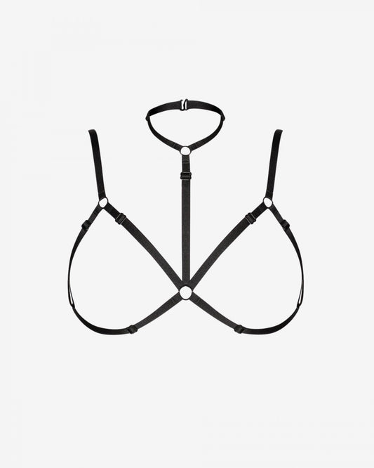 AIDA body harness